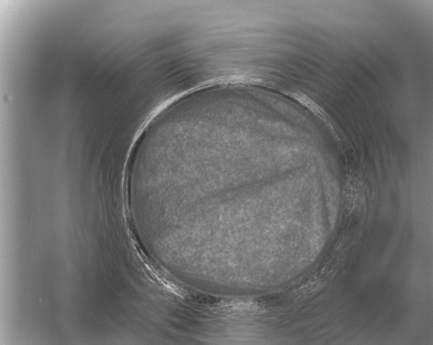 X0000055970886200509162155