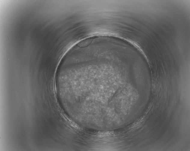 X0000055970887200509162155