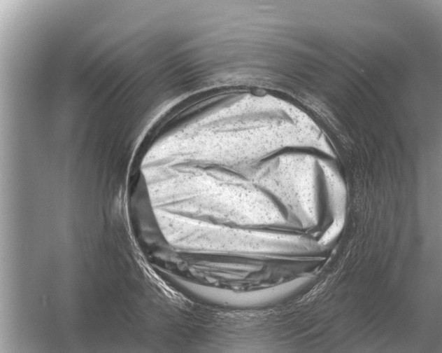 X0000055970888200509162155