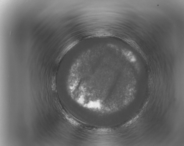 X0000055970889200509162155