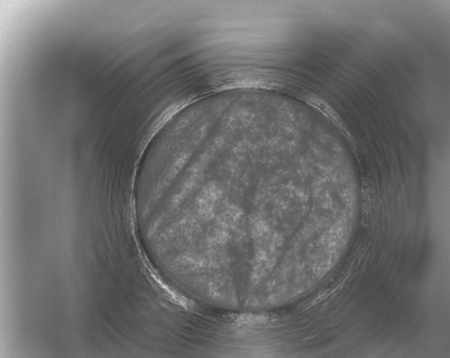 X0000055970890200509162155