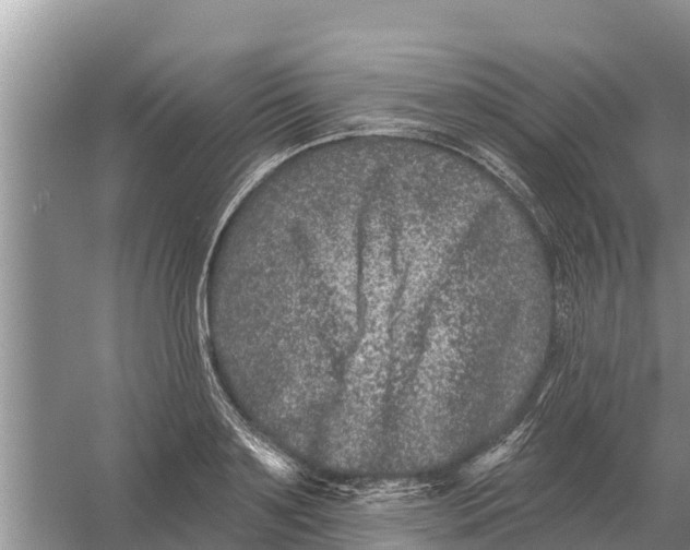 X0000055970891200509162155