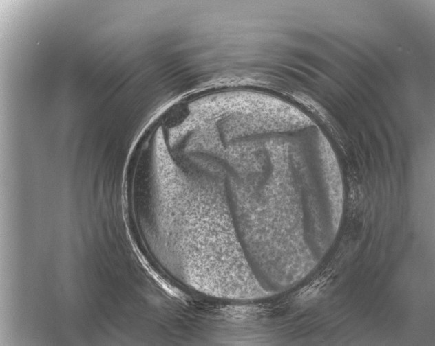 X0000055970894200509162155