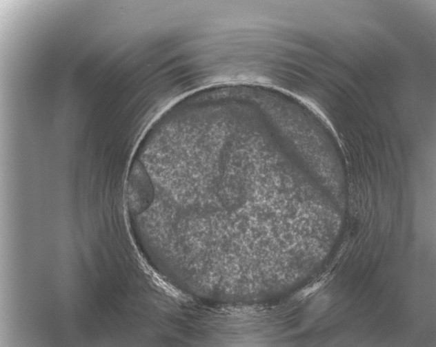 X0000055970895200509162155