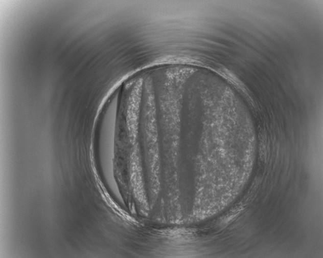 X0000055970896200509162155