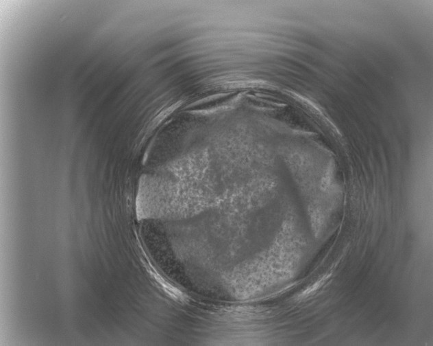 X0000055970897200509162155