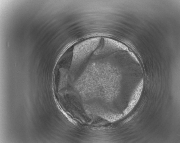 X0000055970898200509162155