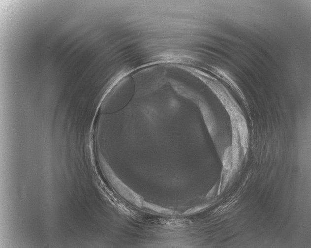 X0000055970899200509162155