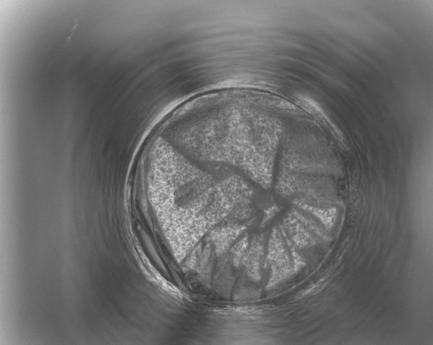 X0000055970900200509162155