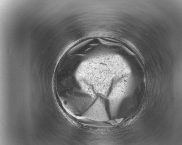 X0000055970901200509162155