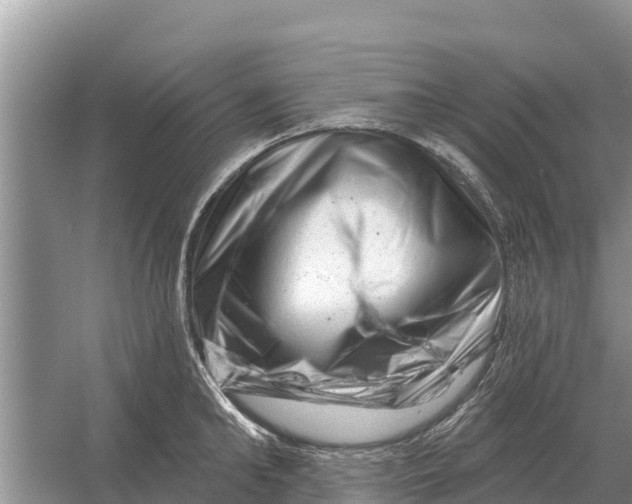 X0000055970902200509162155