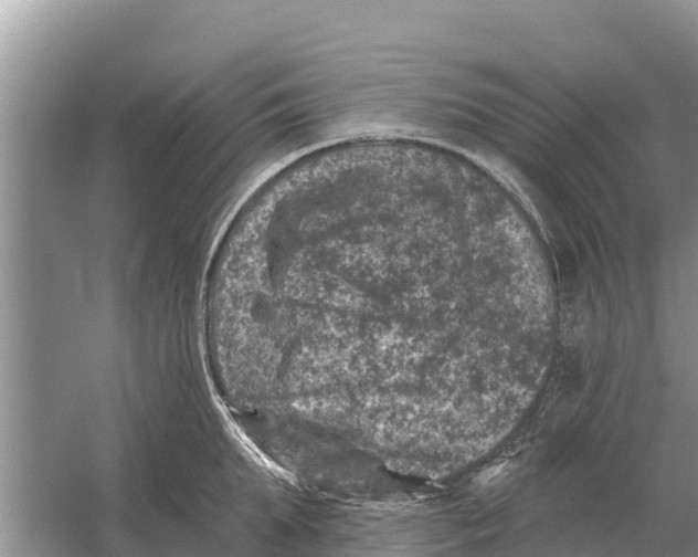 X0000055970903200509162155