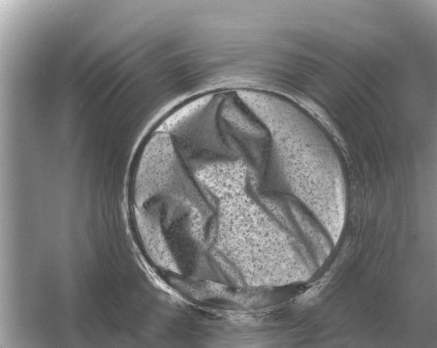 X0000055970904200509162155