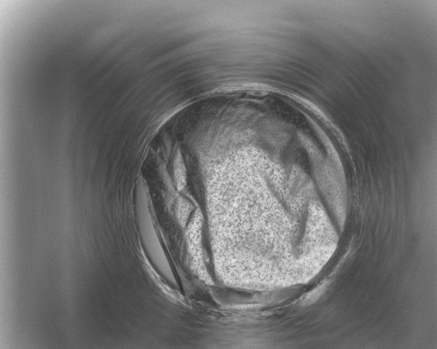 X0000055970905200509162155