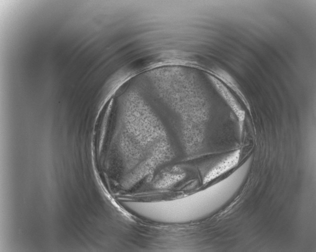 X0000055970906200509162155