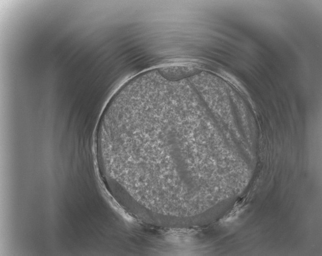 X0000055970907200509162155