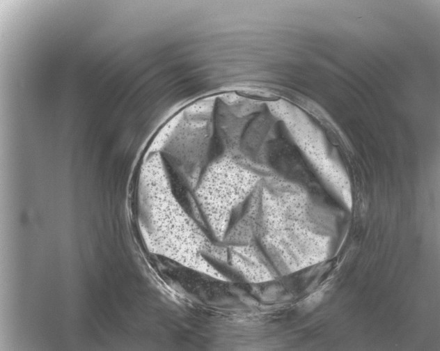 X0000055970908200509162155