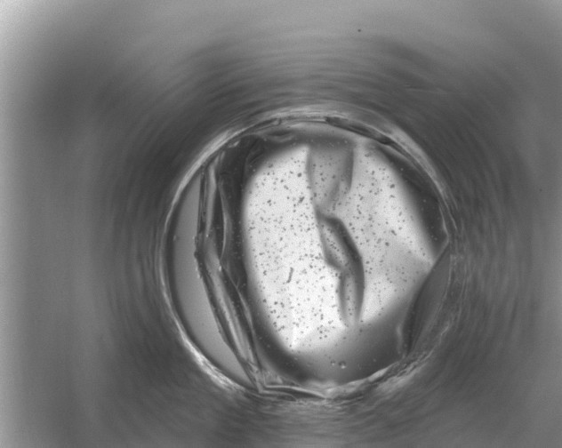 X0000055970909200509162155