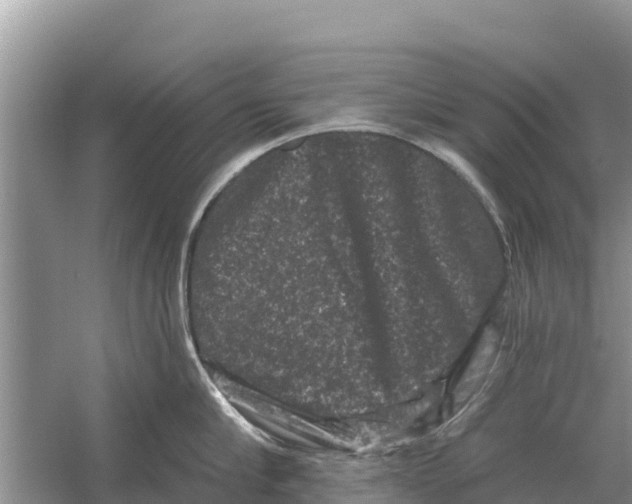 X0000055970910200509162155