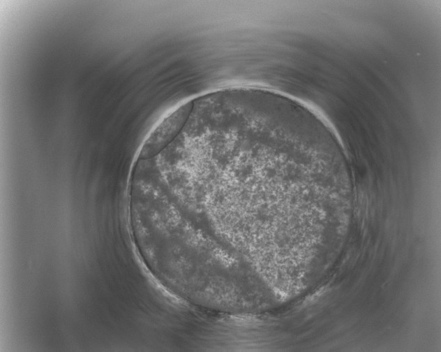 X0000055970911200509162155