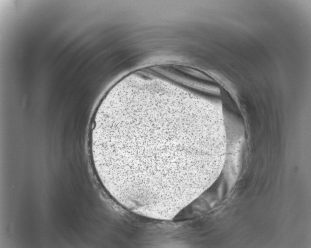 X0000055970912200509162155