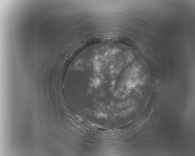 X0000055970913200509162154