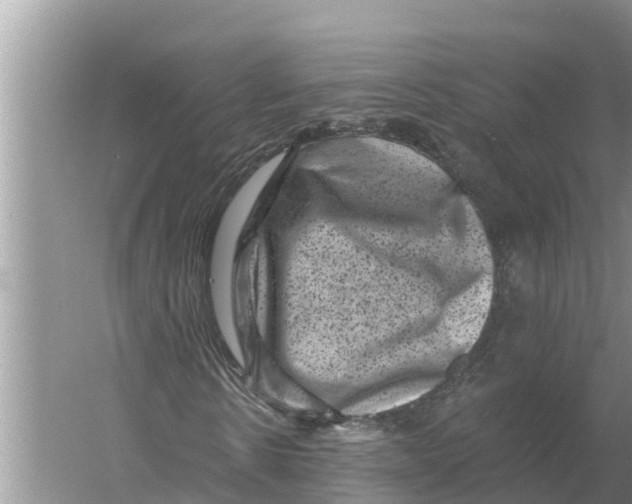 X0000055970914200509162154