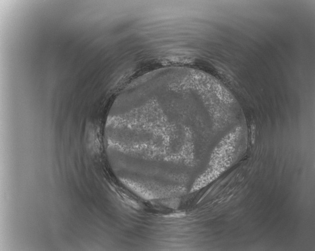 X0000055970915200509162154