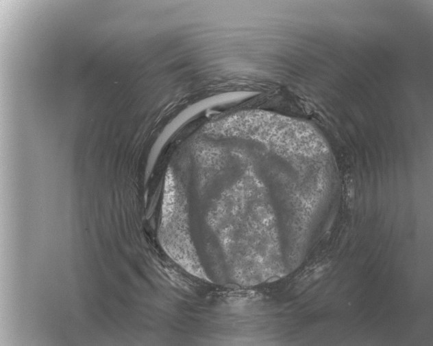 X0000055970916200509162154