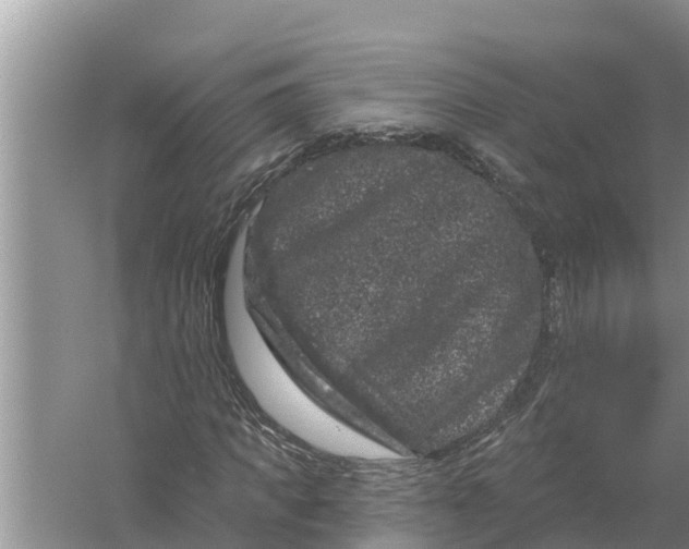 X0000055970917200509162154