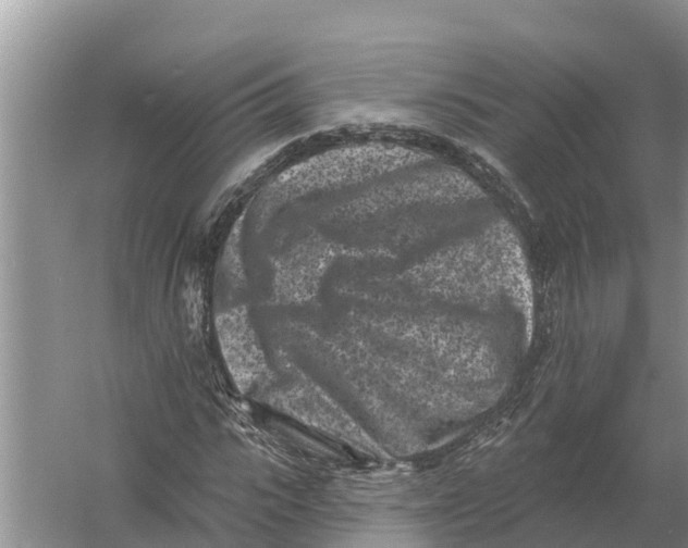 X0000055970919200509162154