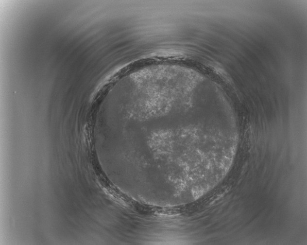 X0000055970920200509162154