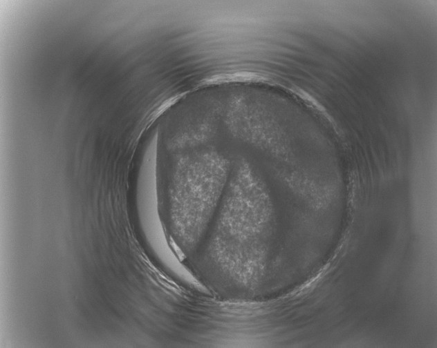 X0000055970921200509162154