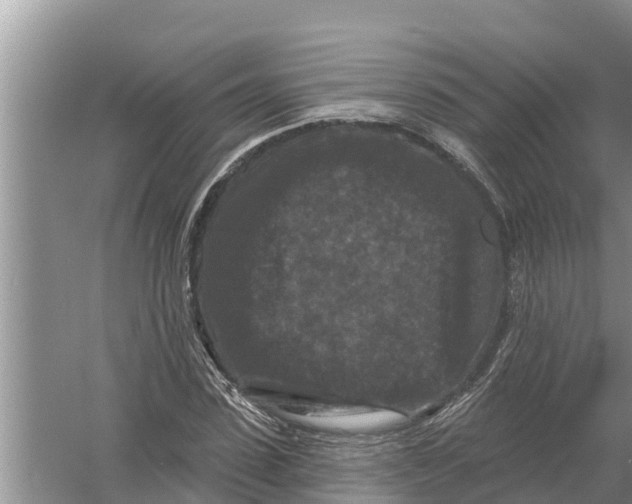 X0000055970923200509162154