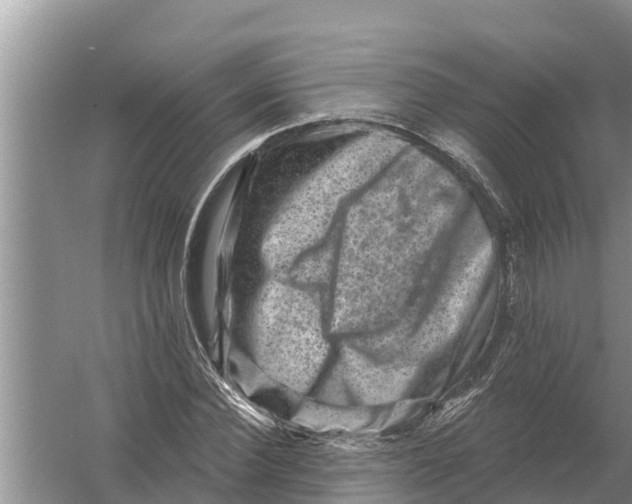 X0000055970924200509162154