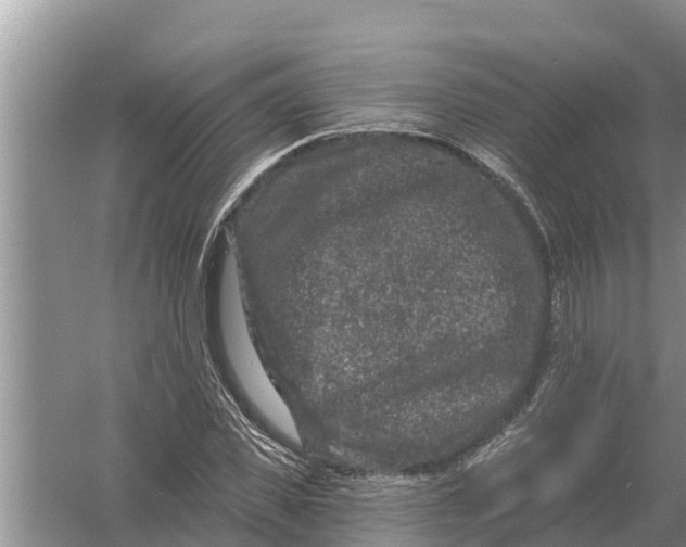 X0000055970925200509162154