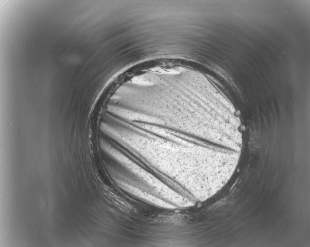 X0000055970926200509162154