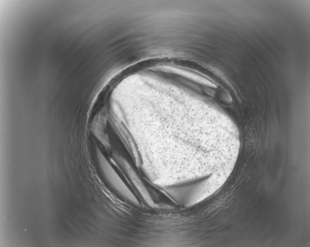 X0000055970927200509162154