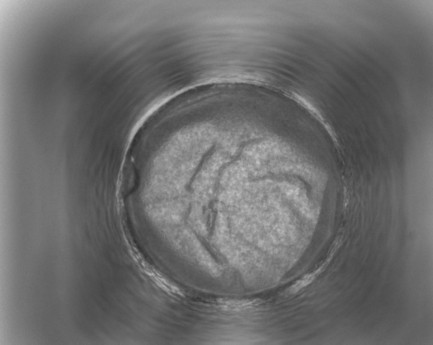 X0000055970928200509162154