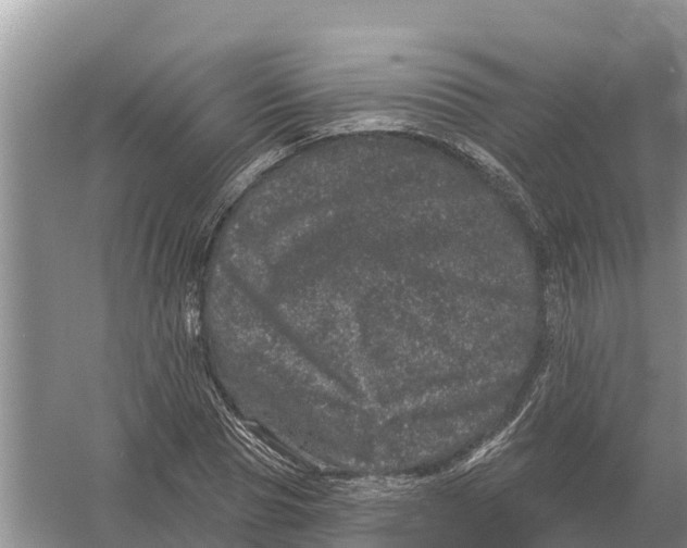 X0000055970929200509162154