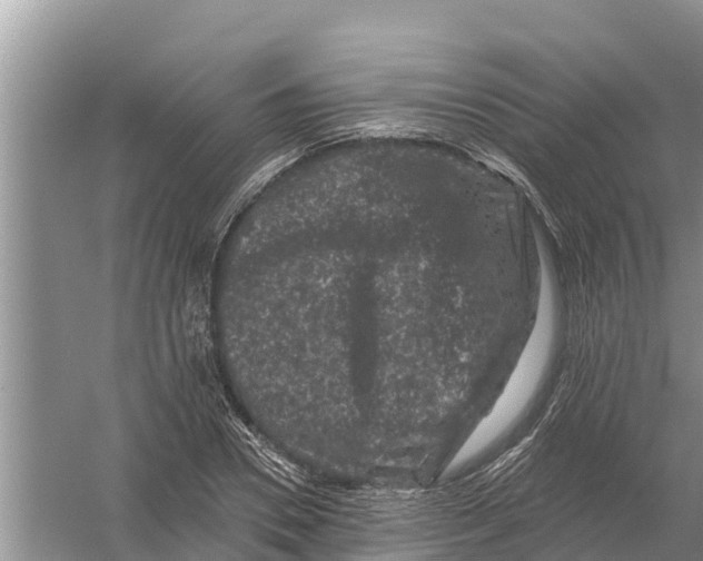 X0000055970930200509162154