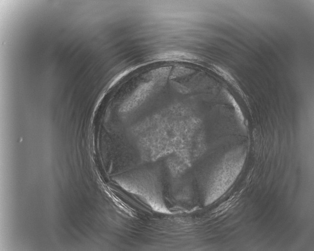 X0000055970931200509162154