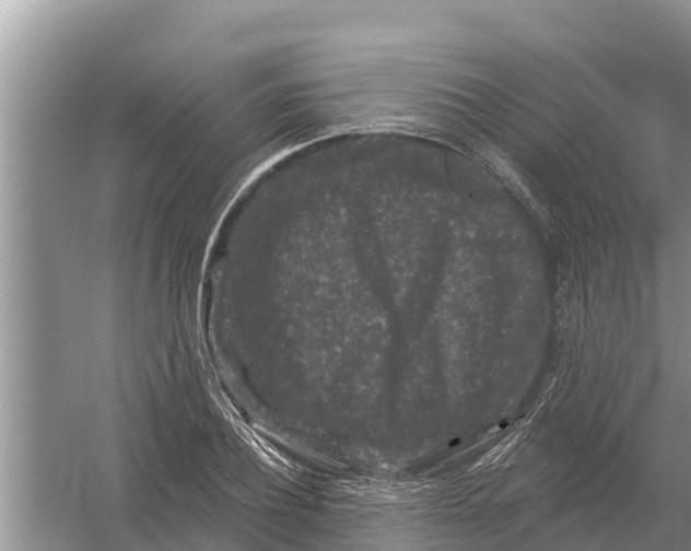 X0000055970932200509162154