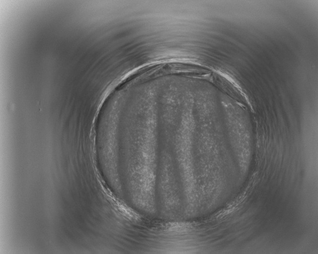 X0000055970933200509162154