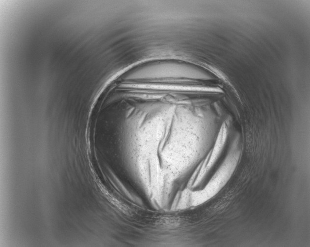 X0000055970935200509162155