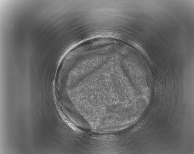 X0000055970936200509162155