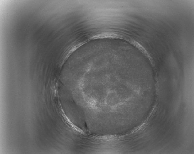 X0000055970937200509162155