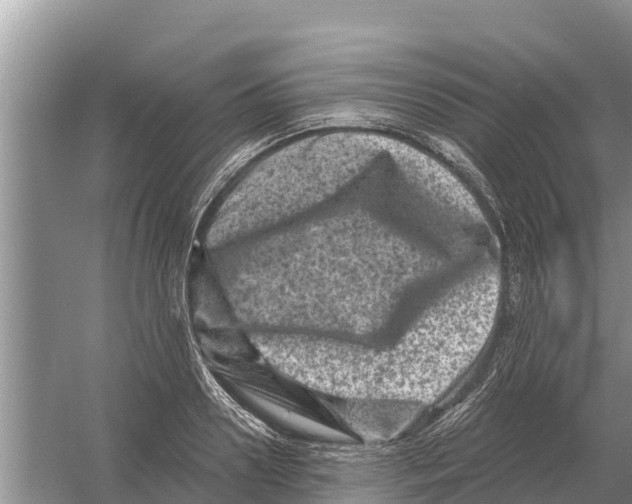 X0000055970938200509162155