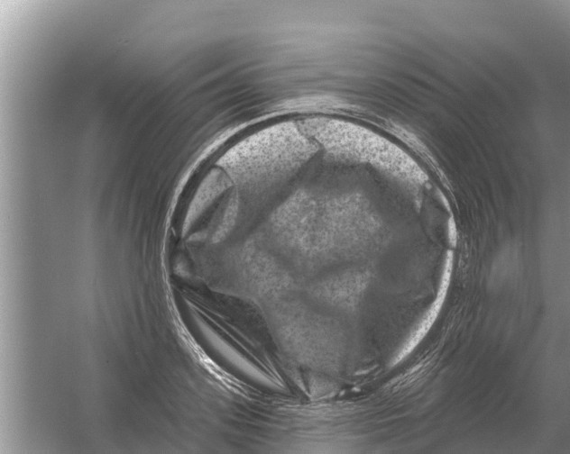 X0000055970939200509162155