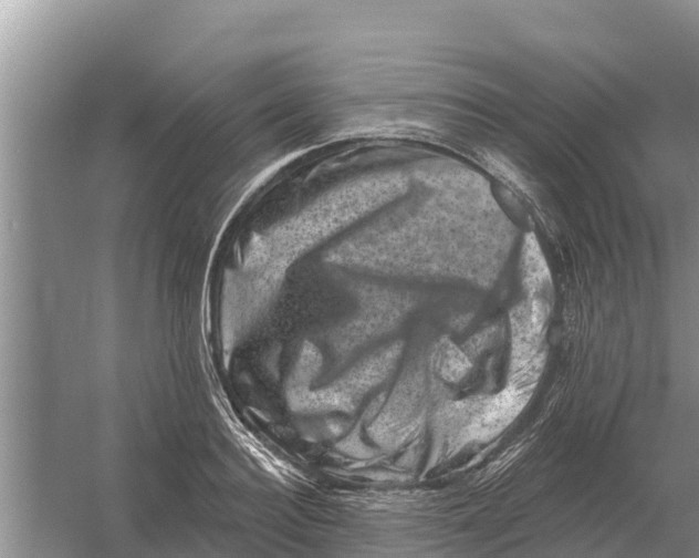 X0000055970940200509162155